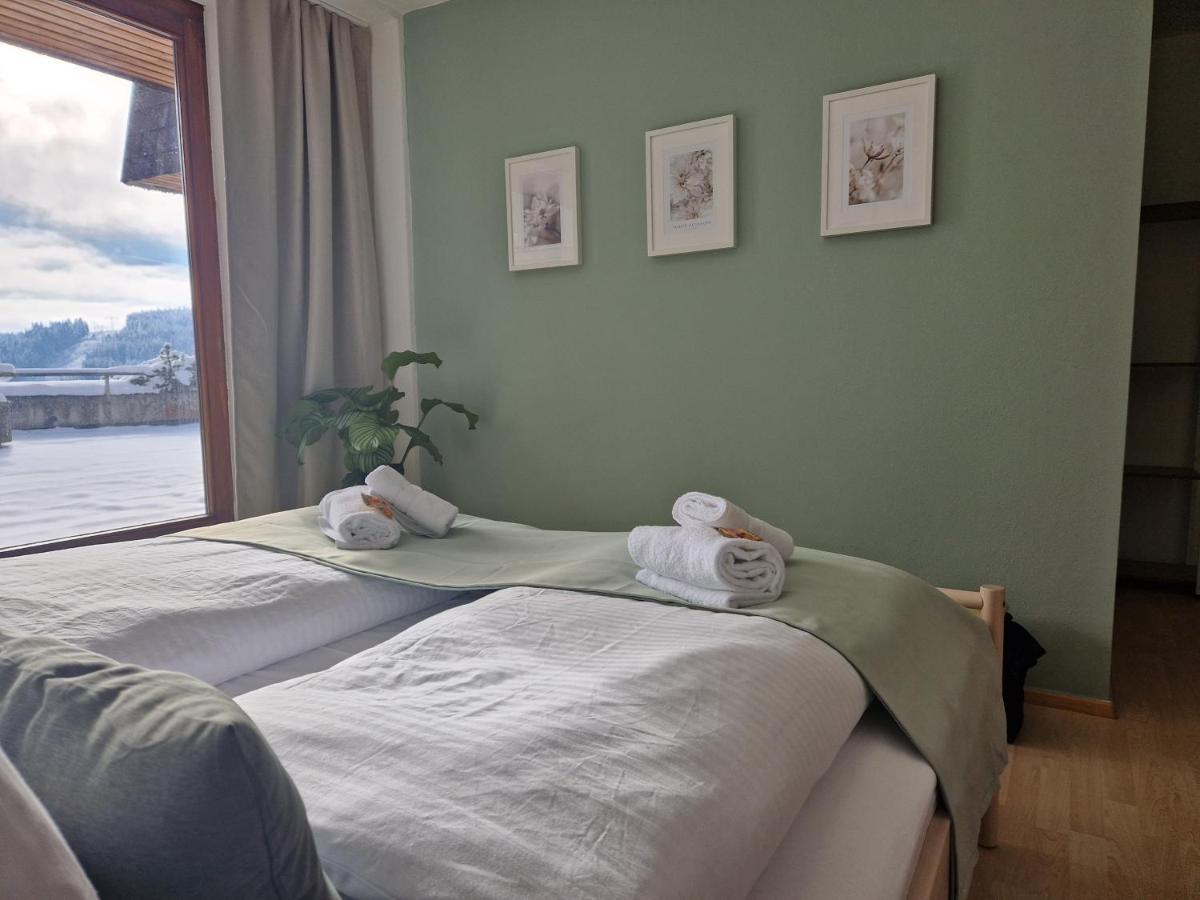 Grosse Terrasse, Netflix, 5Min Zum Skilift, 6 Personen, Waldnah, Schonach im Schwarzwald Eksteriør billede